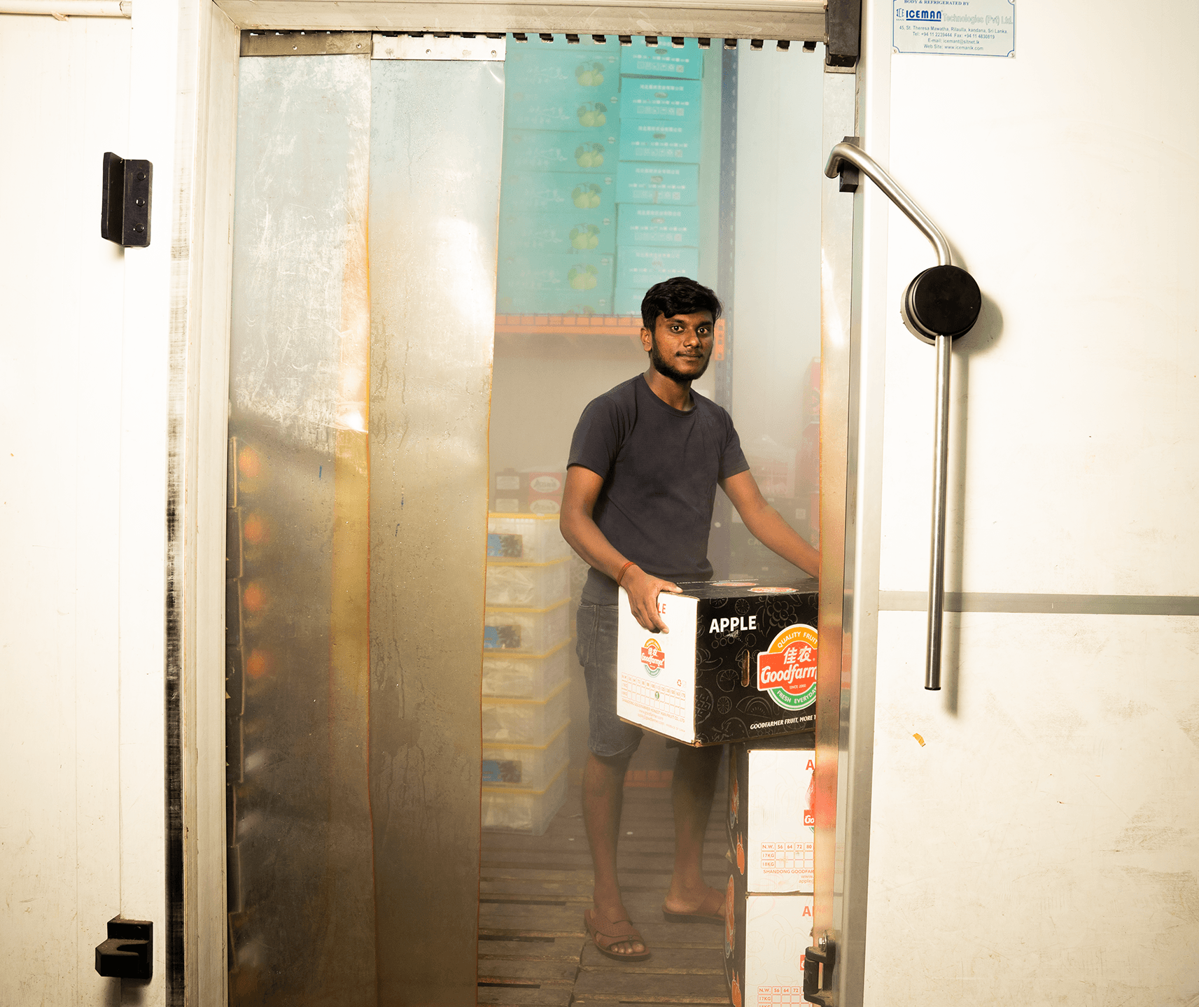 Cold-room storage with stacked produce crates and apple boxes ready for supply